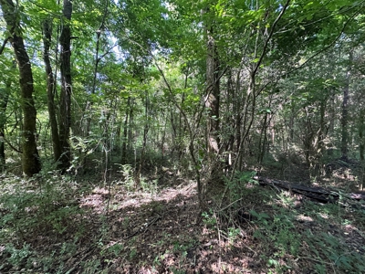 3.64+/- Acres For Sale, Hwy 70 W near Little Missouri River in AR - image 13