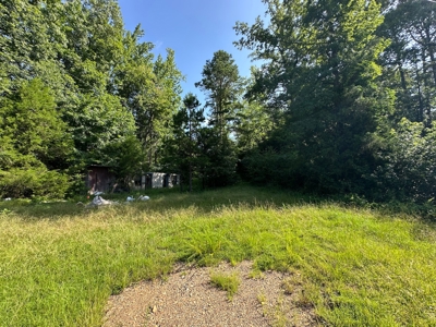 3.64+/- Acres For Sale, Hwy 70 W near Little Missouri River in AR - image 18