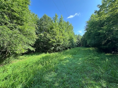 3.64+/- Acres For Sale, Hwy 70 W near Little Missouri River in AR - image 16
