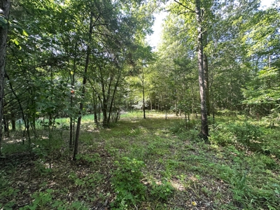 3.64+/- Acres For Sale, Hwy 70 W near Little Missouri River in AR - image 9