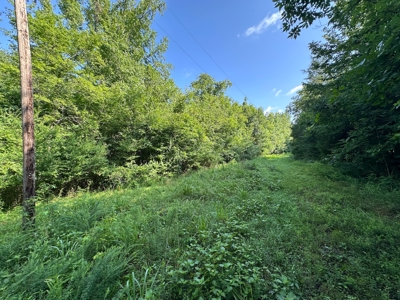 3.64+/- Acres For Sale, Hwy 70 W near Little Missouri River in AR - image 17