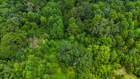 Adjacent Lots For Sale with Multi-Family Zoning - Hickory NC - image 14