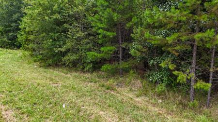 Adjacent Lots For Sale with Multi-Family Zoning - Hickory NC - image 17