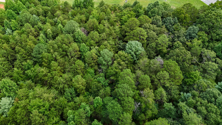 Adjacent Lots For Sale with Multi-Family Zoning - Hickory NC - image 15
