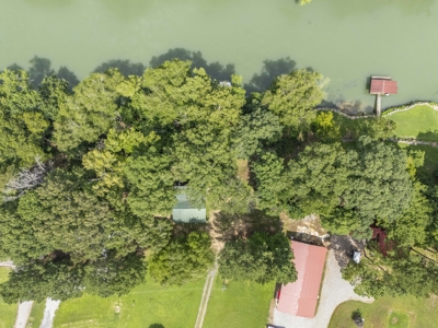 Little Red River Riverfront Cabin For Sale near Pangburn, AR - image 5