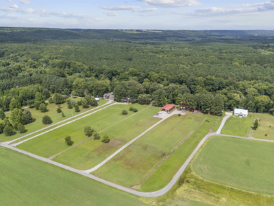 Little Red River Riverfront Cabin For Sale near Pangburn, AR - image 3