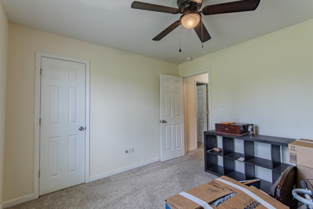 Well-Maintained Home for Sale in Newbern, TN - No City Taxes - image 23