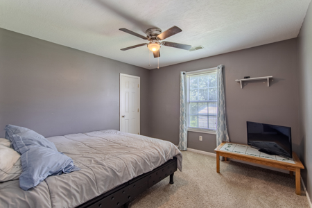 Well-Maintained Home for Sale in Newbern, TN - No City Taxes - image 25