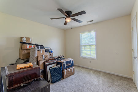 Well-Maintained Home for Sale in Newbern, TN - No City Taxes - image 24