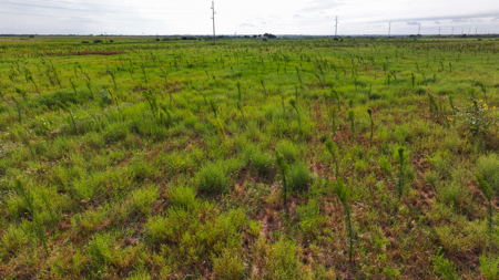172 acres Hardeman County TX farm land - image 5