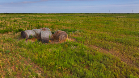 172 acres Hardeman County TX farm land - image 18