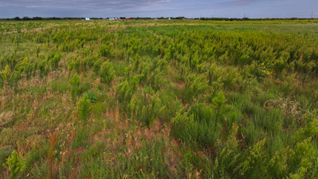 172 acres Hardeman County TX farm land - image 6