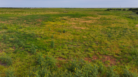 172 acres Hardeman County TX farm land - image 16