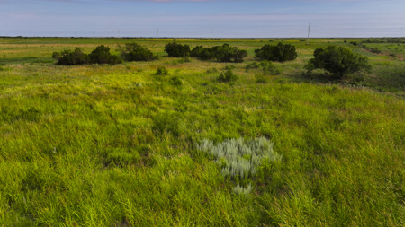 172 acres Hardeman County TX farm land - image 19