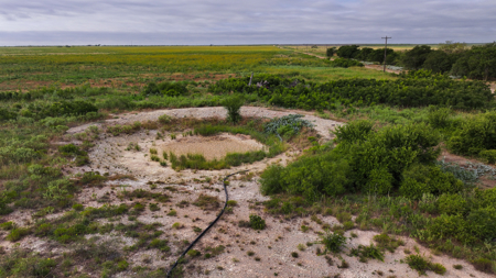 172 acres Hardeman County TX farm land - image 8