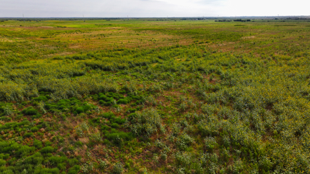 172 acres Hardeman County TX farm land - image 13