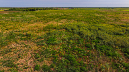 172 acres Hardeman County TX farm land - image 14