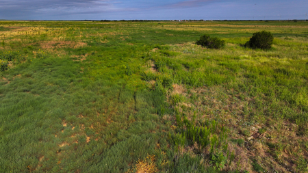 172 acres Hardeman County TX farm land - image 3
