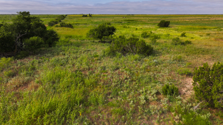 172 acres Hardeman County TX farm land - image 20