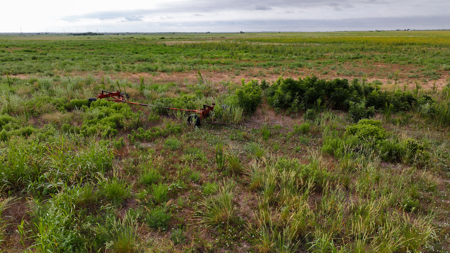 172 acres Hardeman County TX farm land - image 9