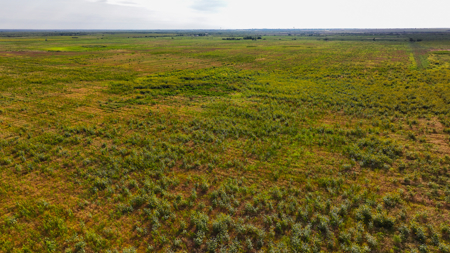 172 acres Hardeman County TX farm land - image 10