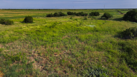 172 acres Hardeman County TX farm land - image 1