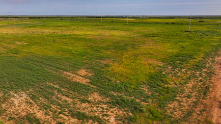 172 acres Hardeman County TX farm land - image 21