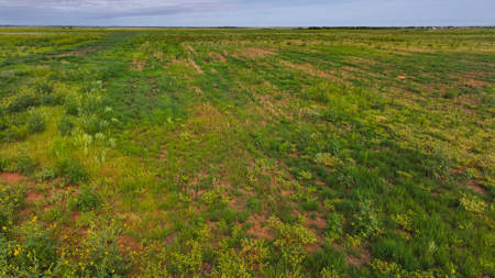 172 acres Hardeman County TX farm land - image 17