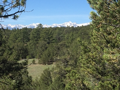 Colorado luxury Mountain home and acreage - image 38