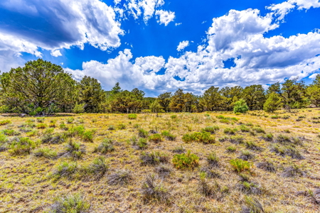 Colorado luxury Mountain home and acreage - image 32