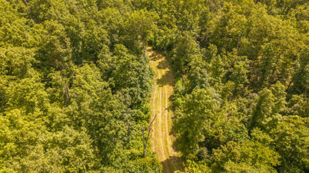 Secluded Acreage for sale in the Arkansas Ozarks - image 14