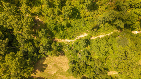 Secluded Acreage for sale in the Arkansas Ozarks - image 10
