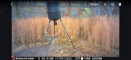 Secluded Acreage for sale in the Arkansas Ozarks - image 22