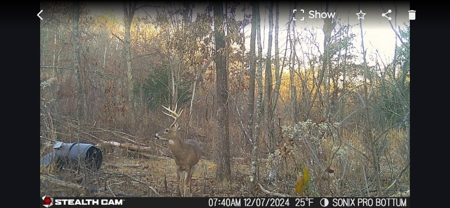 Secluded Acreage for sale in the Arkansas Ozarks - image 20
