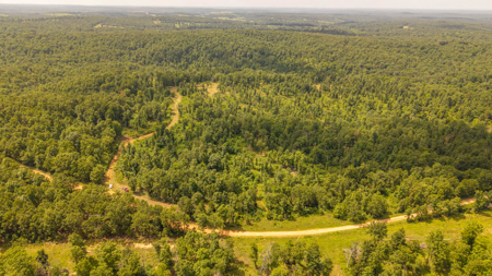 Secluded Acreage for sale in the Arkansas Ozarks - image 5