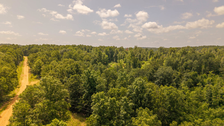 Secluded Acreage for sale in the Arkansas Ozarks - image 7