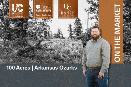 Secluded Acreage for sale in the Arkansas Ozarks - image 1