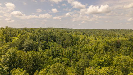 Secluded Acreage for sale in the Arkansas Ozarks - image 6