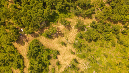 Secluded Acreage for sale in the Arkansas Ozarks - image 9