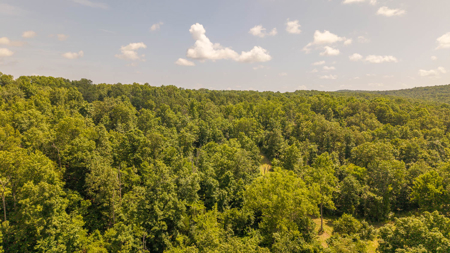 Secluded Acreage for sale in the Arkansas Ozarks - image 13