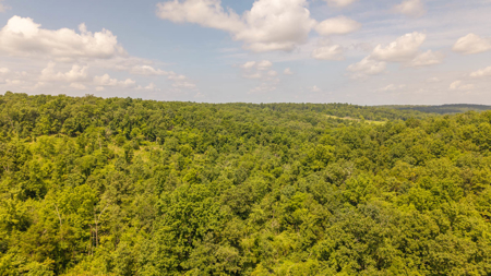 Secluded Acreage for sale in the Arkansas Ozarks - image 12