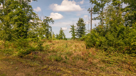 Secluded Acreage for sale in the Arkansas Ozarks - image 3