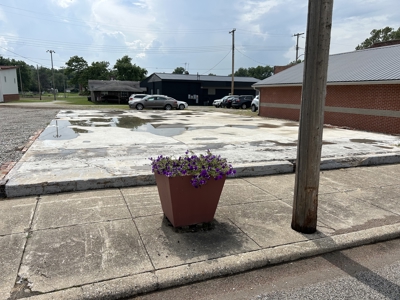 0.48 Acres in Hutsonville – Ready for Your Build! - image 3