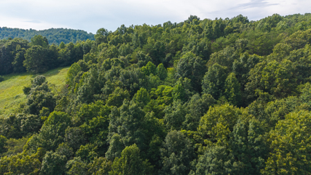 Own Your Slice of East Tennessee Freedom Hawkins County -Auction - image 9