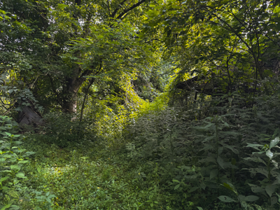 Own Your Slice of East Tennessee Freedom Hawkins County -Auction - image 35
