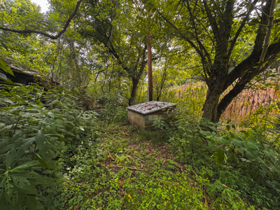 Own Your Slice of East Tennessee Freedom Hawkins County -Auction - image 36