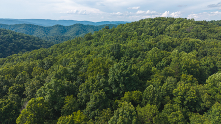 Own Your Slice of East Tennessee Freedom Hawkins County -Auction - image 10
