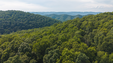Own Your Slice of East Tennessee Freedom Hawkins County -Auction - image 11