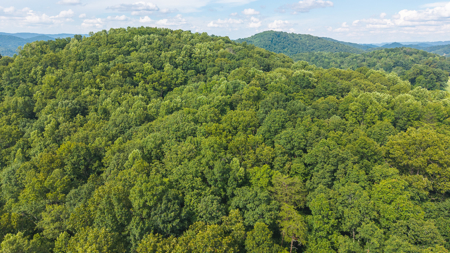 Own Your Slice of East Tennessee Freedom Hawkins County -Auction - image 14