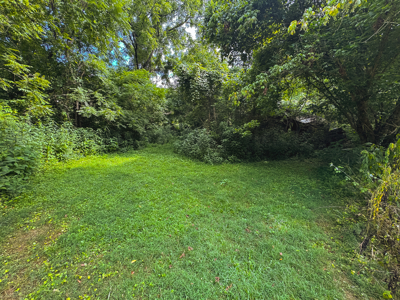 Own Your Slice of East Tennessee Freedom Hawkins County -Auction - image 33